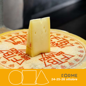 Formaggio tipico Branzi ftb valle brembana