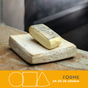 Stracchino antica valli orobiche bergamasche formaggio tipico