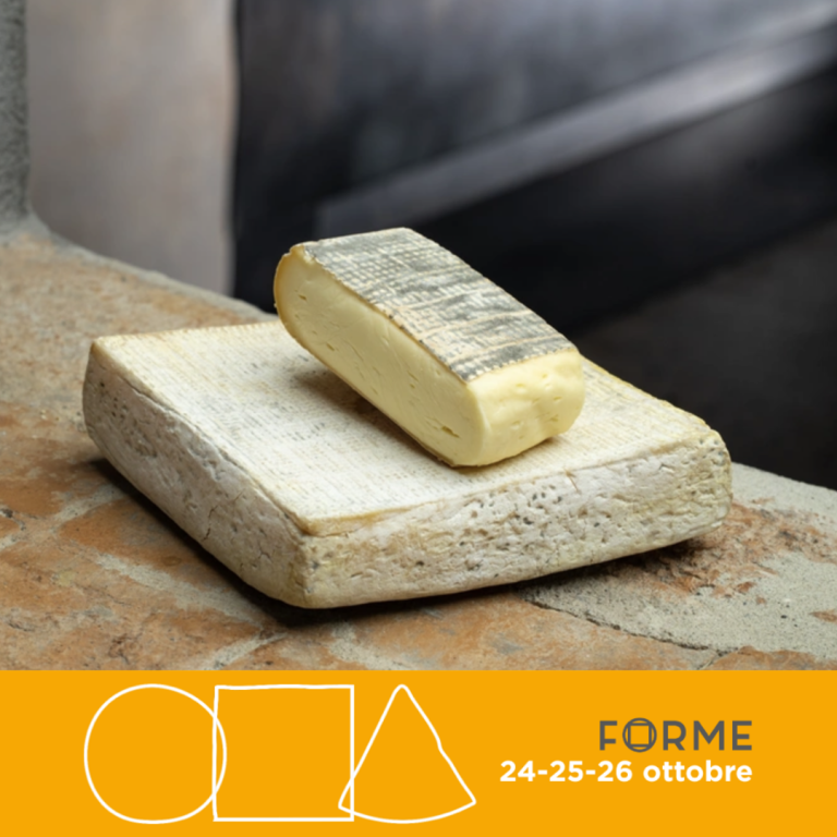 Stracchino antica valli orobiche bergamasche formaggio tipico
