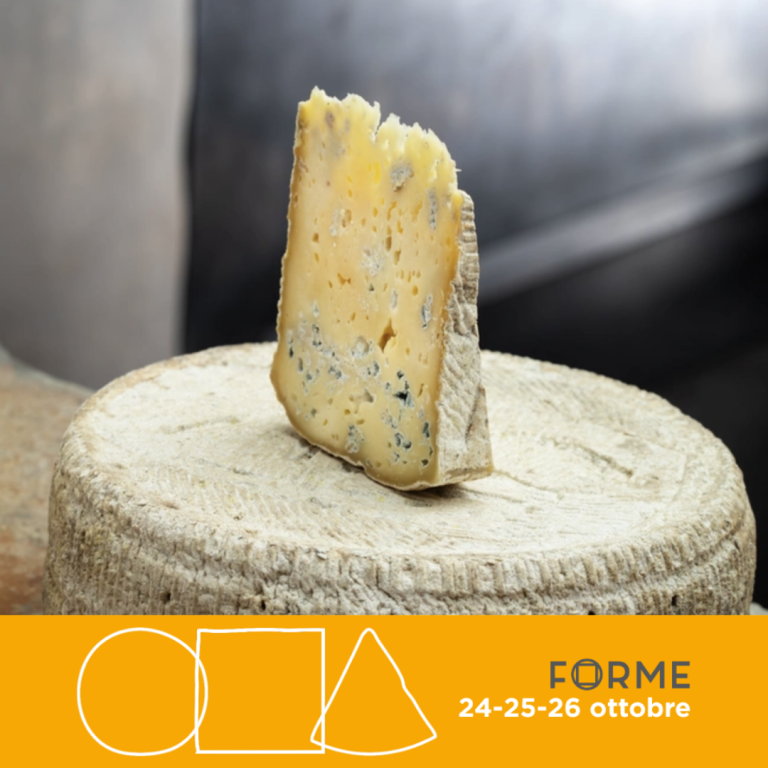 Formaggio Strachitunt tipico bergamasco
