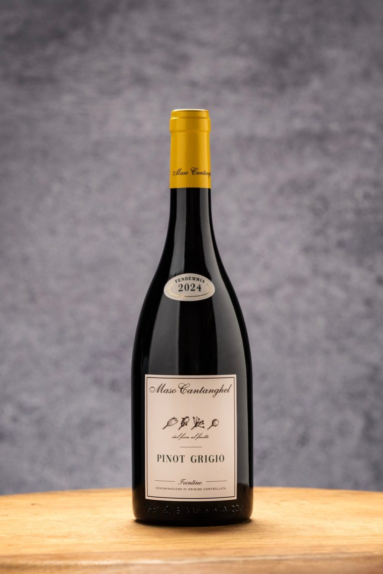 Pinot Grigio IGT Maso Cantanghel | La cantina del Circolino